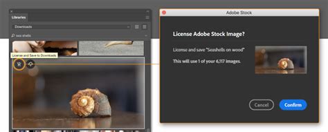 Download Adobe Illustrator CC 27.61 for Windows.